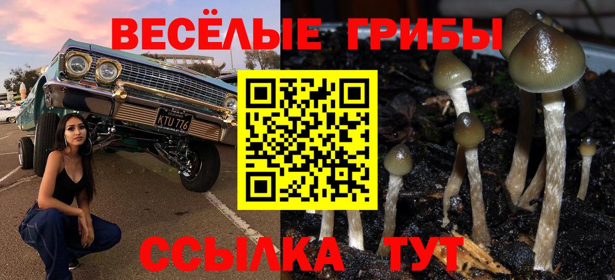 Донецк  Галлюциногенные грибы мухоморы  Вход с VPN  Галлюциногенные грибы GOLDEN TEACHER 